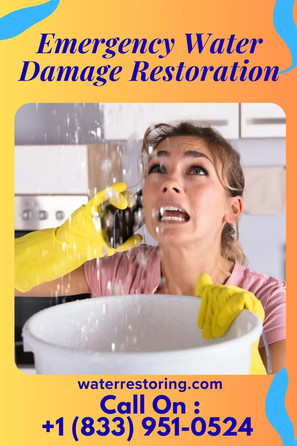 Emergency Water Damage Restoration in Soham, NM